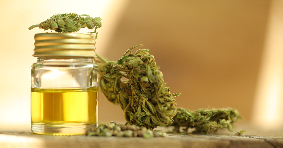 CannaCooking Guide Get Baked this 420 with Green Dragon