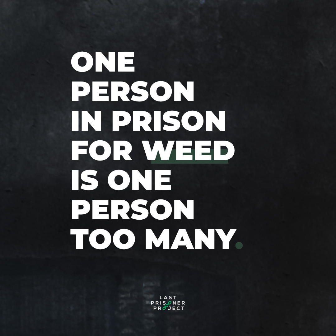 Green Dragon Partnership with Last Prisoner Project