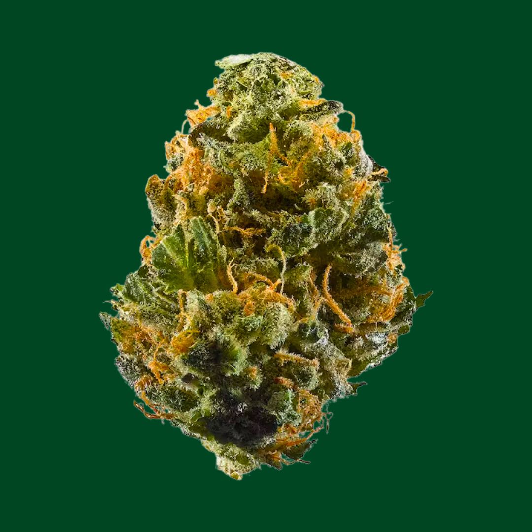 C13 Haze Cannabis Strain